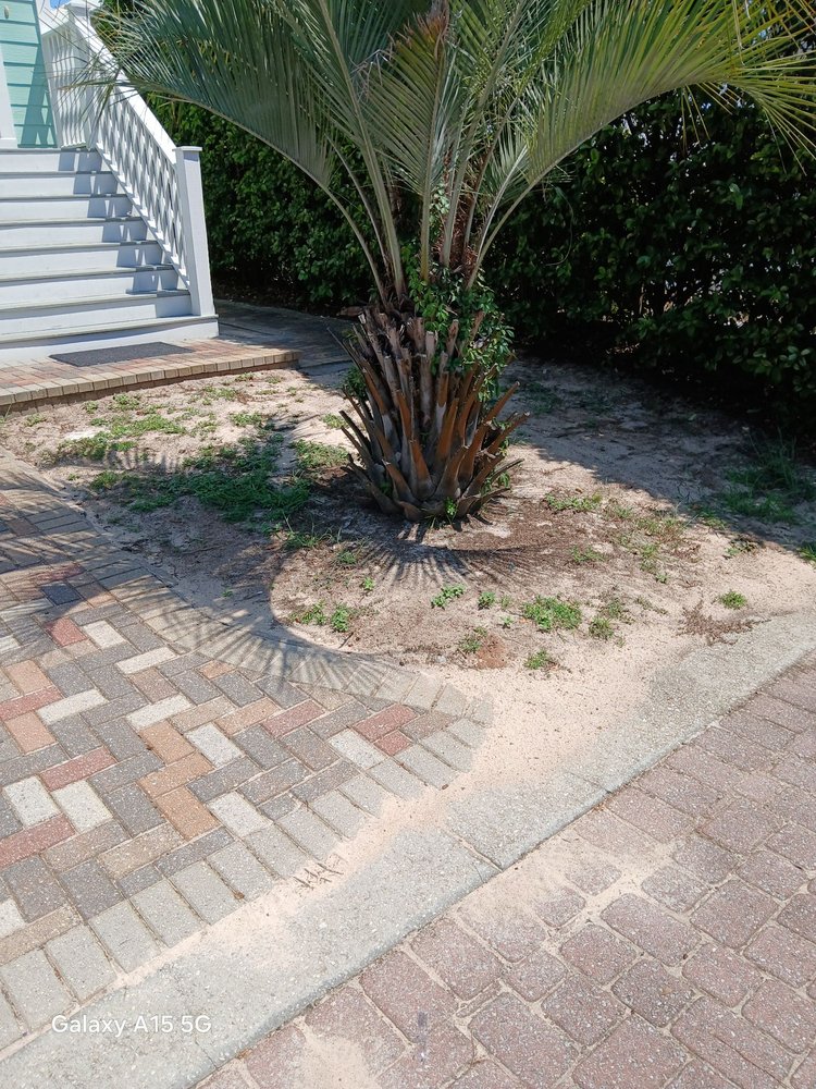 Painted exterior staircase and paver area with palm tree